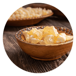 Frankincense for dogs boswelia for dogs joints mobility inflammatory balance
