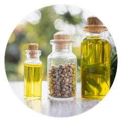 Full Spectrum hemp extract for dogs endocannabinoid system