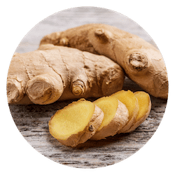 Ginger