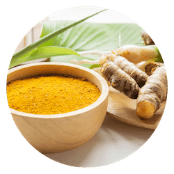 Turmeric for dogs joints mobility inflammation