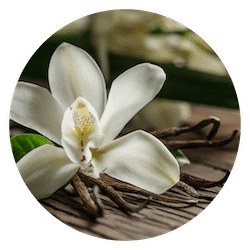 Vanilla
