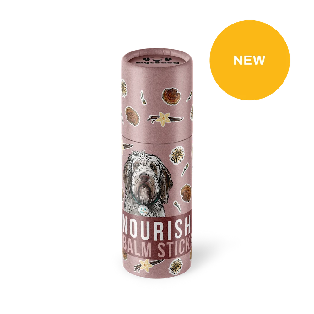 Nourish Balm stick CBD dog paw balm Reishi balm stick for pets dogs