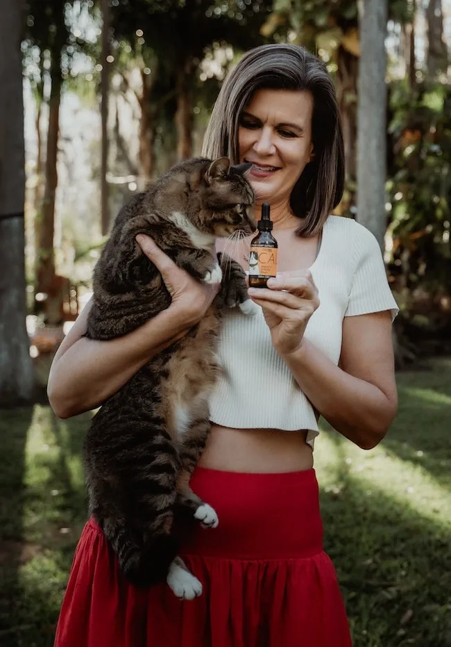 CBD oil for cats with essential oils for cats safe for cats