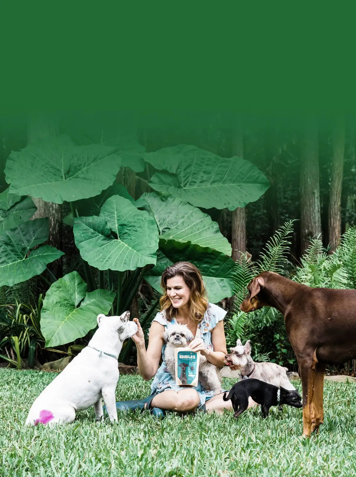 CBD Dog Health Founder Angela Ardolino CBD for dogs cbd pets