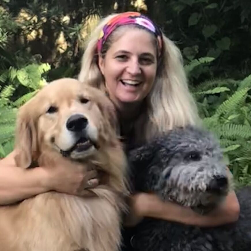 Vet approved CBD for dogs cbd review testimonial veterinarian