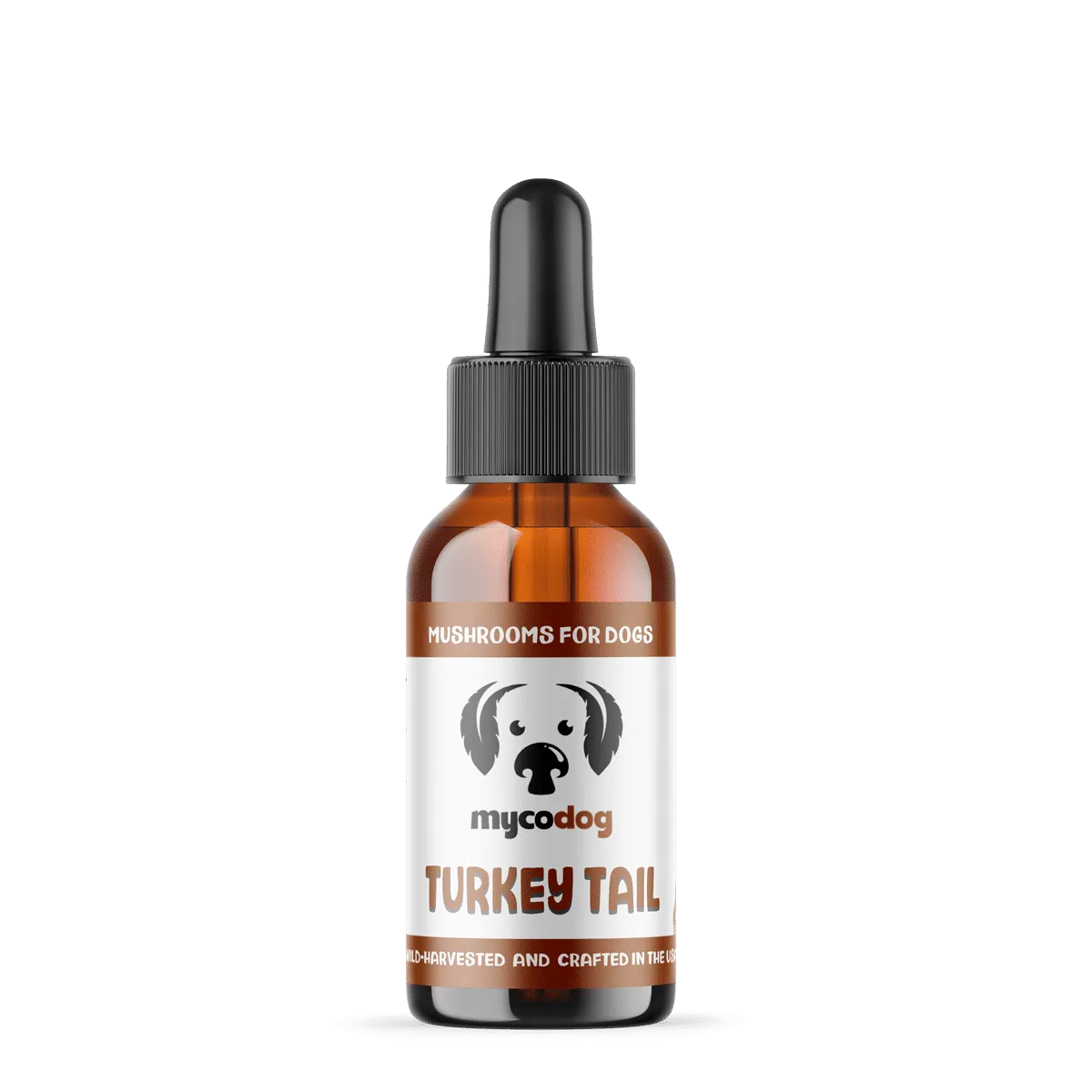 turkey tail for dogs turkey tail mushroom for dogs pets cats