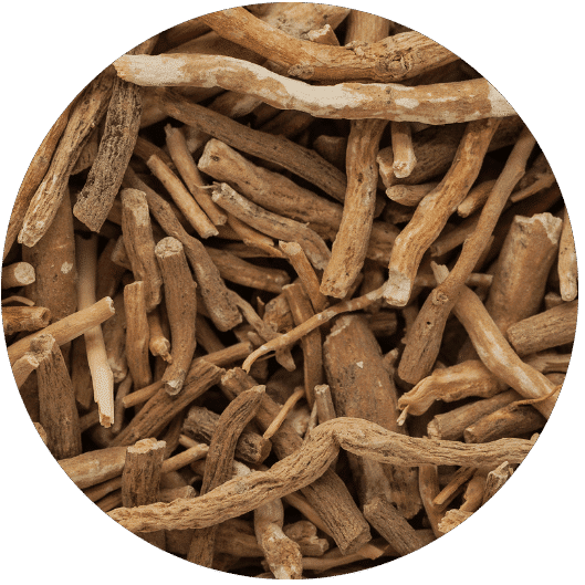 ashwagandha for dogs